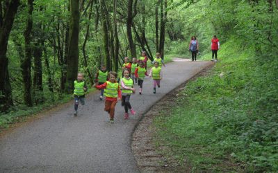 TRAVNIŠKE RASTLINE